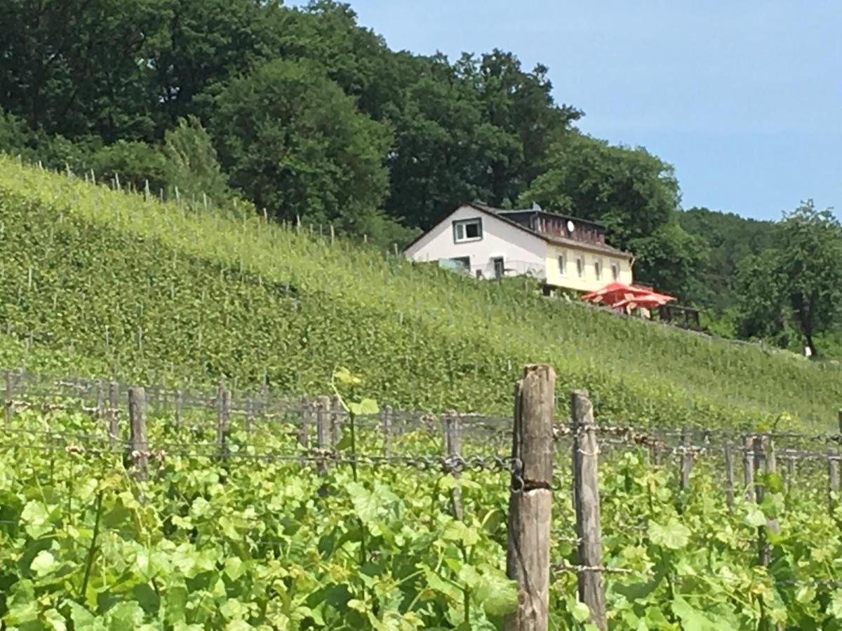 Das Rebenhaus Rüdesheim am Rhein Exteriér fotografie