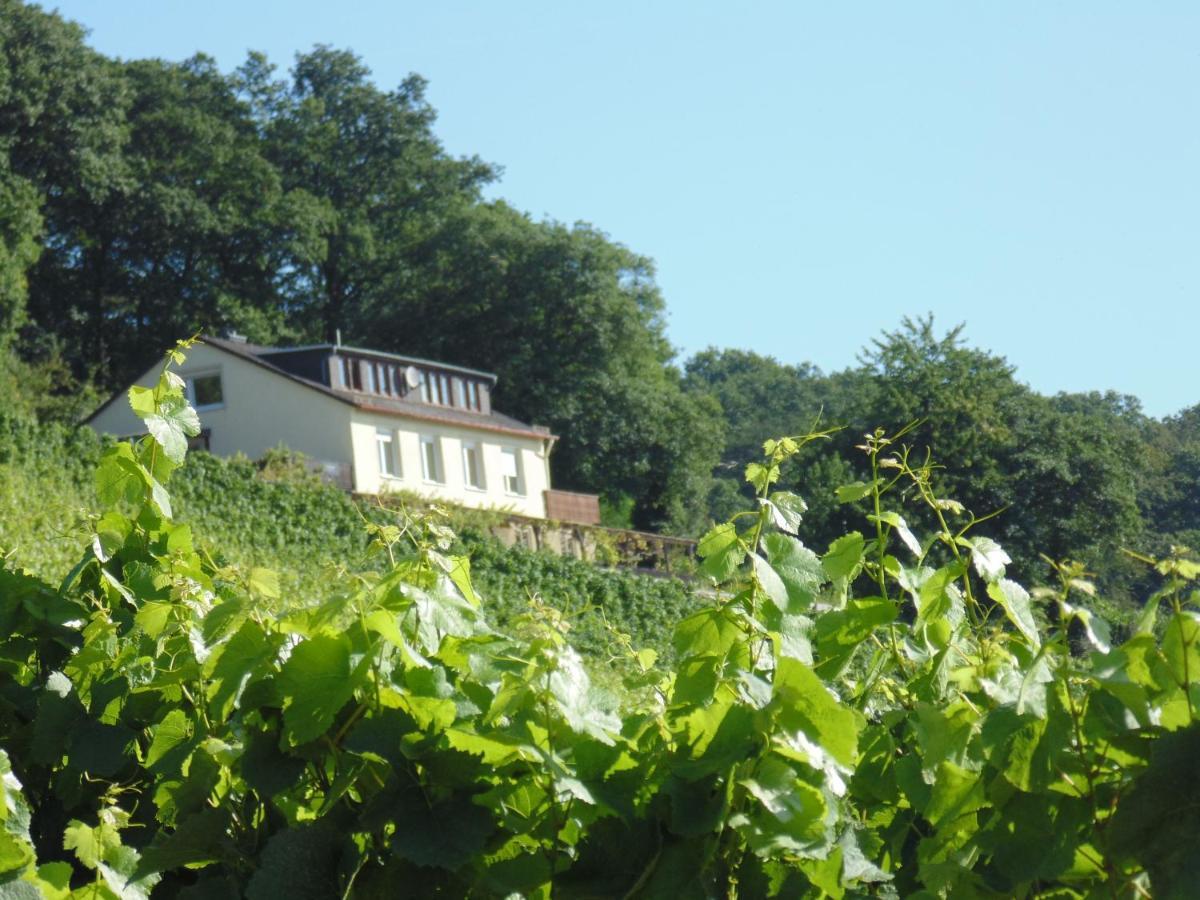 Das Rebenhaus Rüdesheim am Rhein Exteriér fotografie