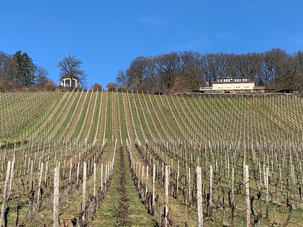 Das Rebenhaus Rüdesheim am Rhein Exteriér fotografie