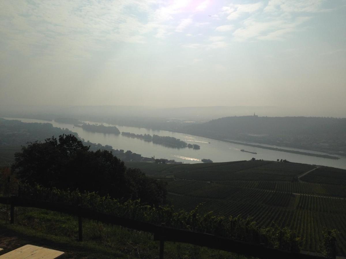 Das Rebenhaus Rüdesheim am Rhein Exteriér fotografie