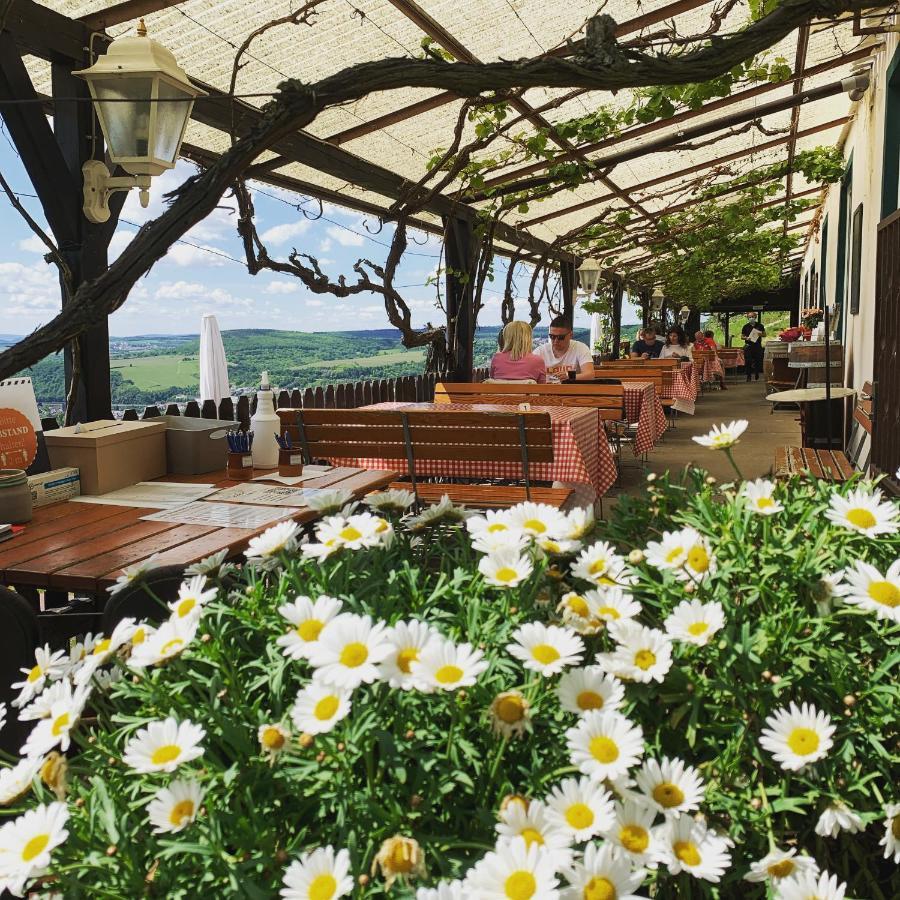 Das Rebenhaus Rüdesheim am Rhein Exteriér fotografie