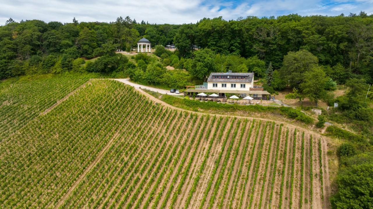 Das Rebenhaus Rüdesheim am Rhein Exteriér fotografie