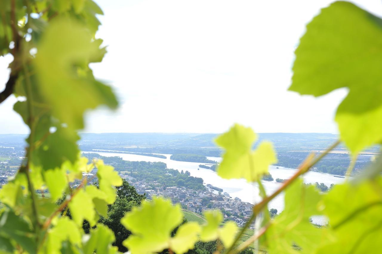 Das Rebenhaus Rüdesheim am Rhein Exteriér fotografie