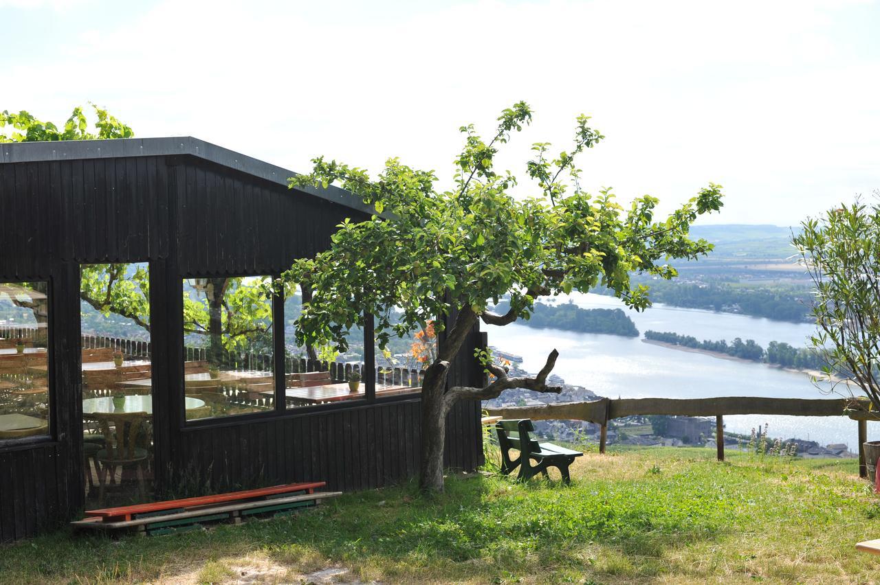 Das Rebenhaus Rüdesheim am Rhein Exteriér fotografie