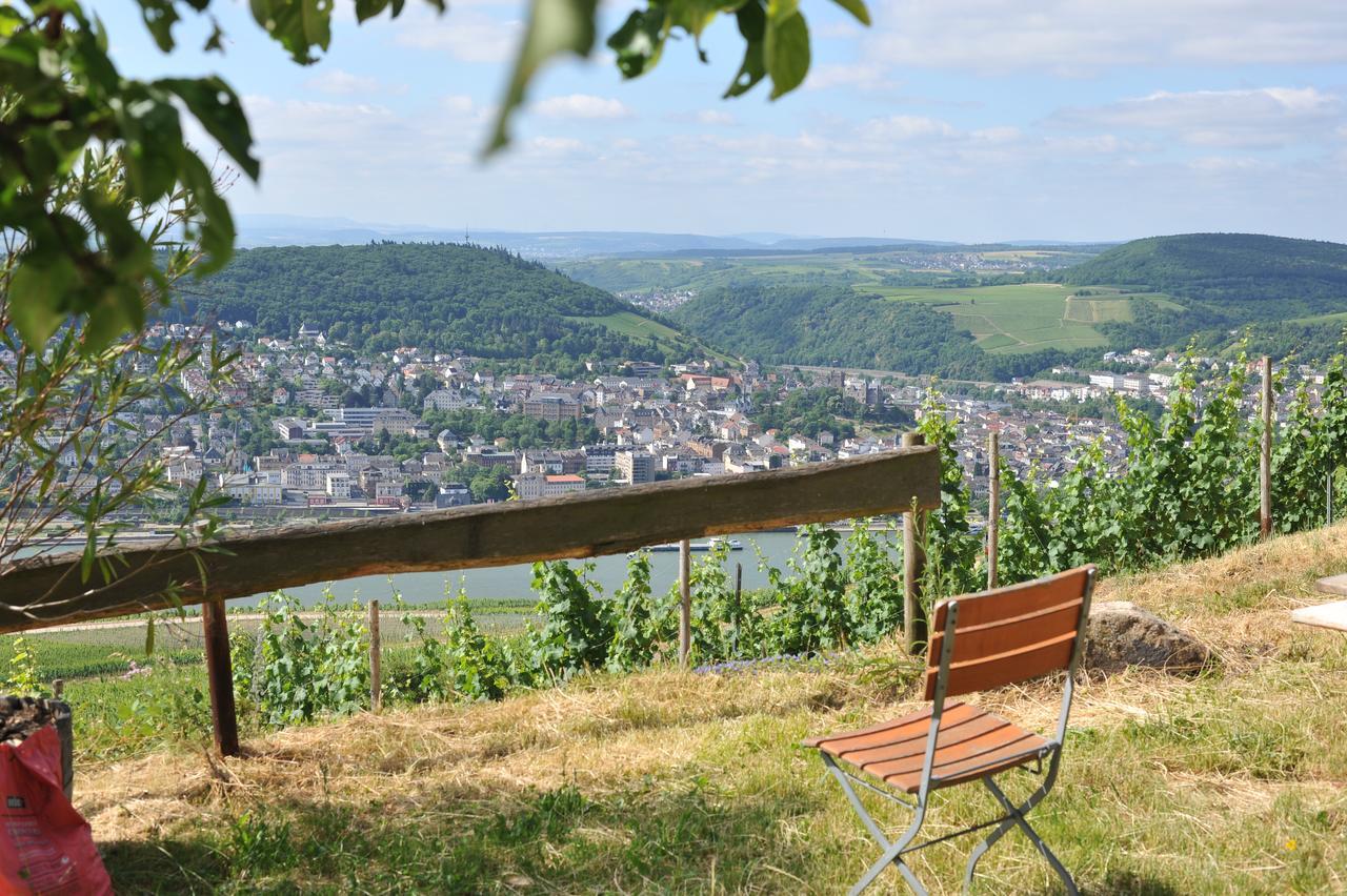 Das Rebenhaus Rüdesheim am Rhein Exteriér fotografie