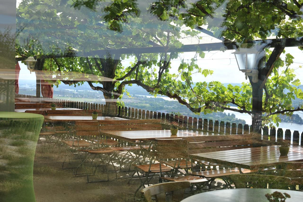 Das Rebenhaus Rüdesheim am Rhein Exteriér fotografie